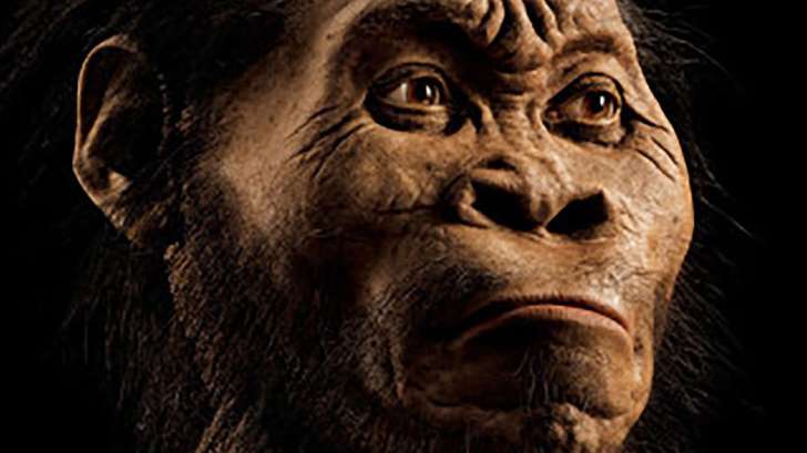 Les premiers humains ont quitté l’Afrique bien plus tôt que ce que nous pensions