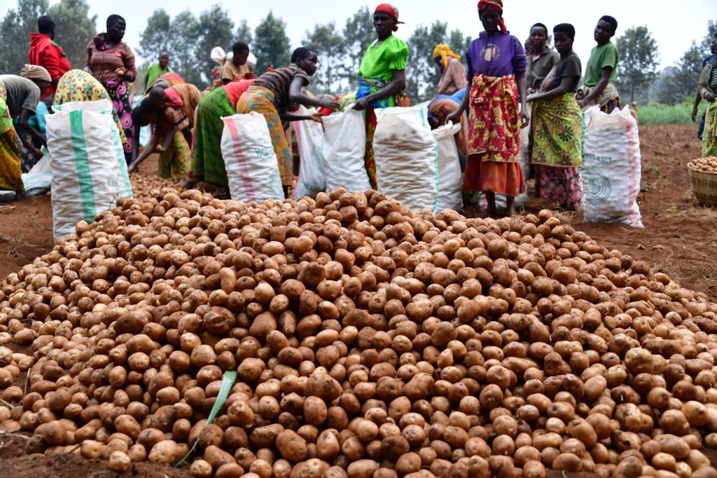 Photo : ABP, Presidence.bi