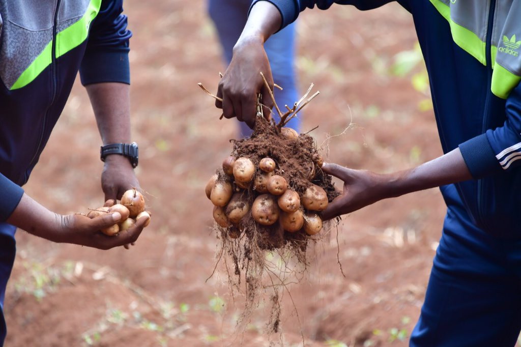 Photo : ABP, Presidence.bi