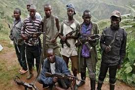 RDC: Félix Tshisekedi appelle à une coalition régionale contre les groupes armés