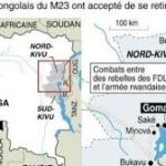 Le rôle trouble des voisins de la RDC dans l’est du pays