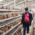 Ngozi/Gitega: Le Gouvernement entend redynamiser le secteur de l'élevage du petit