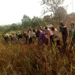 TRAVAUX DE DEVELOPPEMENT COMMUNAUTAIRE : Labourer un champ de 2 hectares pour les nécessiteux de KIRUNDO / BURUNDI