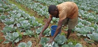 Don de 20 M $ de la BAD au Burundi pour la sécurité alimentaire et nutritionnelle