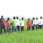 Le ministre en charge de l'environnement effectue une visite en province Bubanza