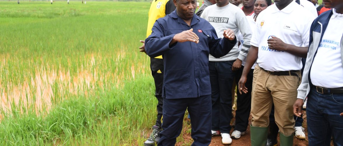 Le Chef de l’Etat encourage les différents projets réalisés par des producteurs agro-éleveurs des communes Mbuye et Rutegama de Muramvya