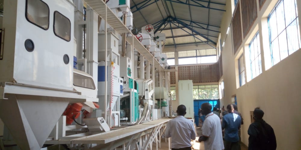 BURUNDI : L’usine SOREMU à MUHANGA crée des emplois et produit du riz / KAYANZA