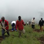 BURUNDI : TRAVAUX DE DÉVELOPPEMENT COMMUNAUTAIRE - Planter des arbres sur des montagnes dénudées de MATANA / BURURI