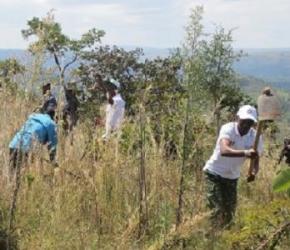 Butezi et Cankuzo : Le projet « Ewe Burundi urambaye » continue