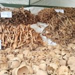 GENOCIDE CONTRE LES BAHUTU DU BURUNDI DE 1972 :  1.098 corps exhumés de 17 fosses communes à MWARO