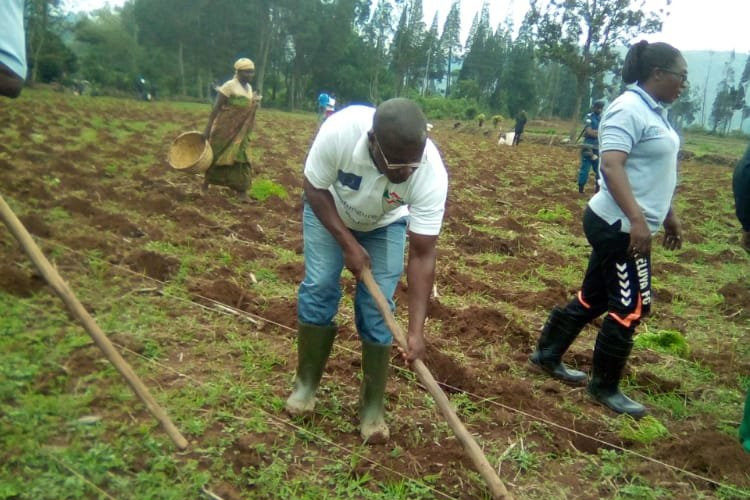 Burundi : La gouverneure TABU et des cultivateurs plantent du maïs à RUYIGI