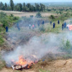 BURUNDI : La police détruit 933 kg de stupéfiants saisis en 2021 / BUBANZA