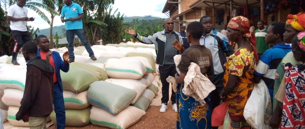 BURUNDI : Don de 117 t de maïs à 7.498 familles à KIREMBA / NGOZI