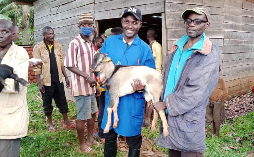 BURUNDI : WORLD VISION distribue des chèvres et des boucs à SHOMBO et NYABIKERE / KARUSI