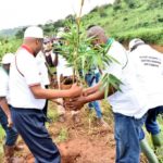 Le Burundi célèbre la journée nationale de l'arbre