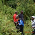 L'Université du Burundi veut restaurer les forêts autochtones au Burundi