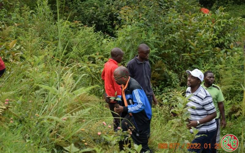 L’Université du Burundi veut restaurer les forêts autochtones au Burundi