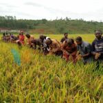 Burundi / Chine : Ngozi veut passer d'une production de 300 à 10.500 tonnes de riz