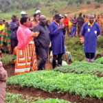 Burundi : Vers un marais de Kibenga rayonnant de légumes à Bugenyuzi / Karusi