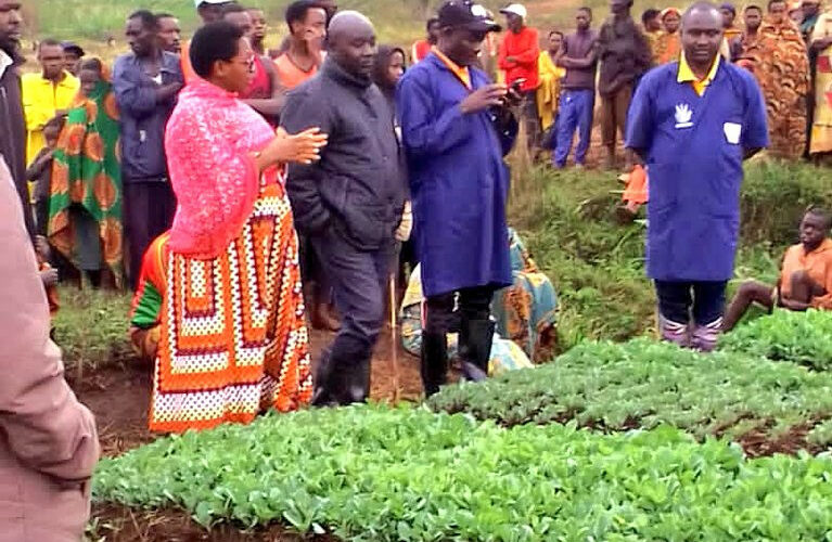 Burundi : Vers un marais de Kibenga rayonnant de légumes à Bugenyuzi / Karusi