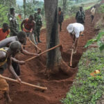 Burundi : TDC - Tracer une route en colline Kanazi à Bugenyuzi / Karusi