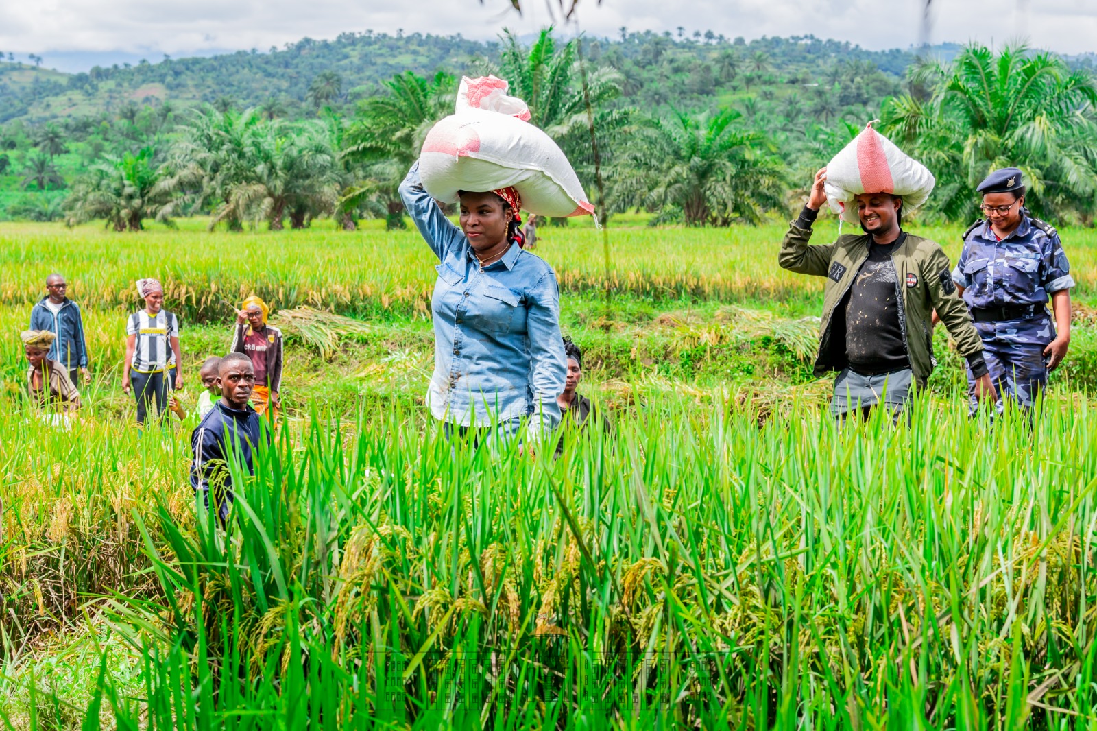 bdi burundi premierdame bujumbura 02 24042023 ntarerushatsihouse